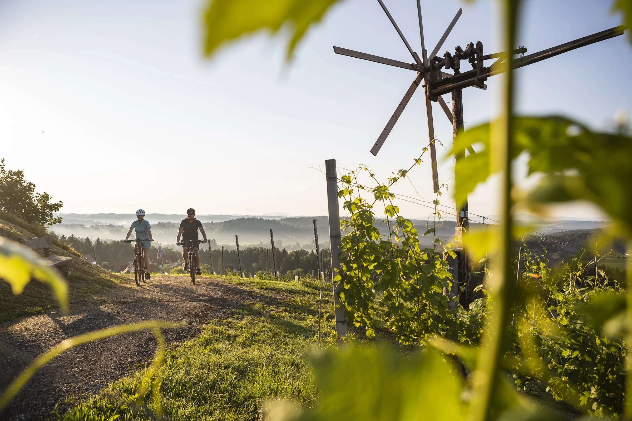 Genussradeln durch die Weinberge