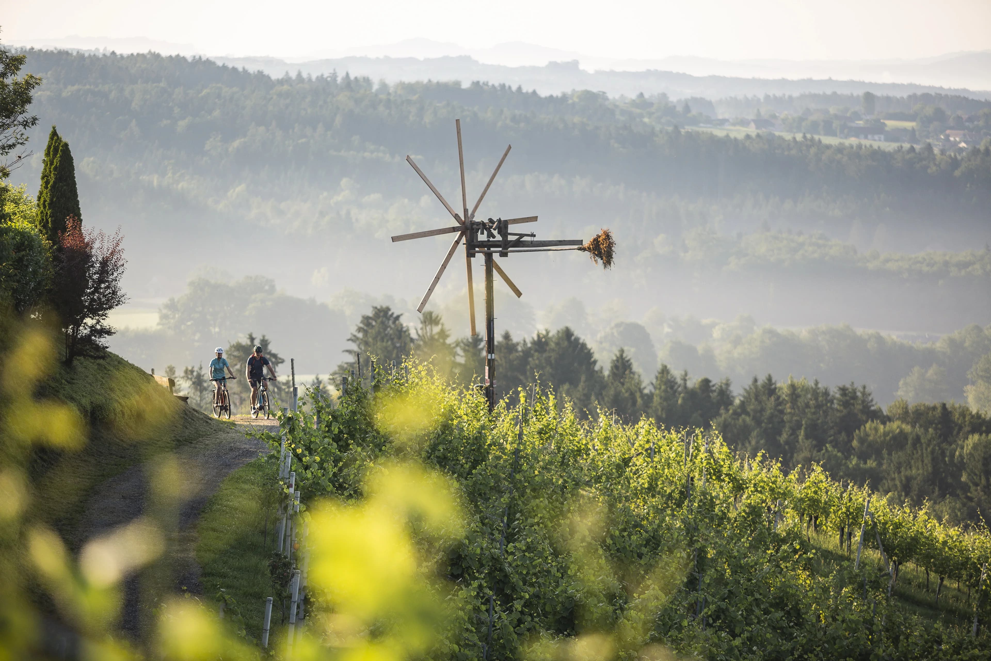 Weinberg-Panorama mit Klapotetz